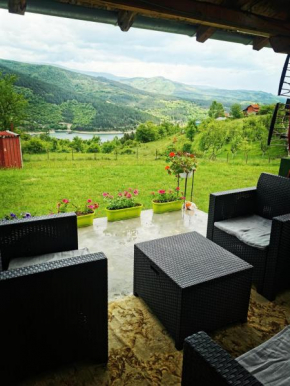 Vila Jotic, Zavojsko jezero